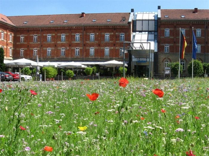 Hotelansicht mit Blumenwiese